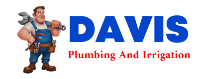 Trusted plumber in OVID